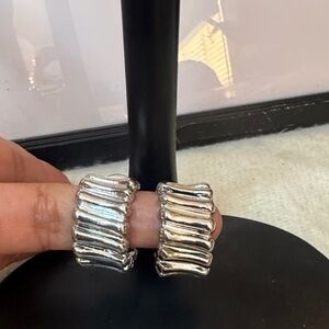 Silver Women's Jewelry Earrings